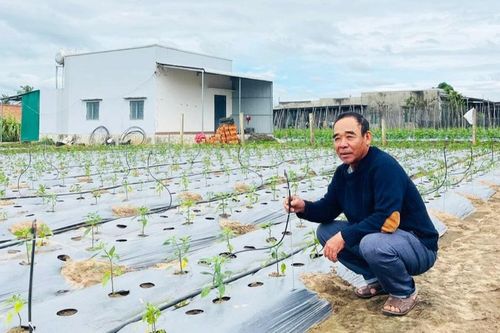 Áp dụng công nghệ tưới tiết kiệm nước: Giảm chi phí, tăng hiệu quả