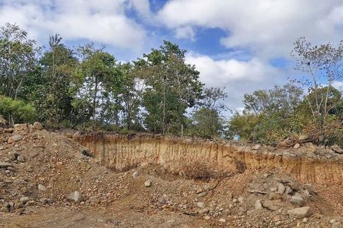 Vụ tự ý san ủi hơn 6,4 ha đất ở Chư Sê: Không có dấu hiệu tội phạm