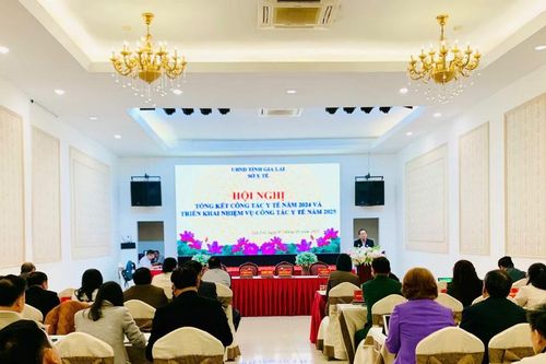 Ngành Y tế Gia Lai đạt và vượt nhiều chỉ tiêu được giao