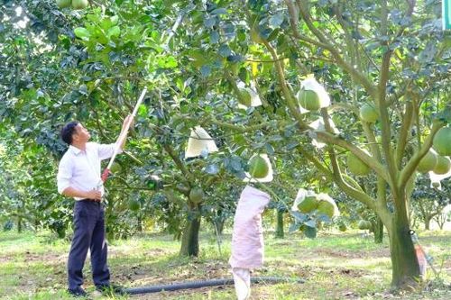 Ðạ Huoai: Chú trọng nâng cao giá trị sản xuất nông nghiệp