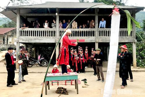 Mùa xuân đến sớm