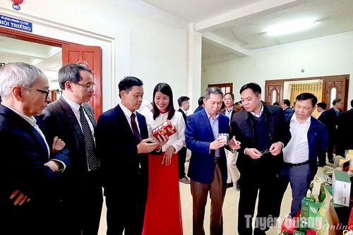 Giá trị sản xuất nông, lâm nghiệp, thủy sản tăng trên 4,1%