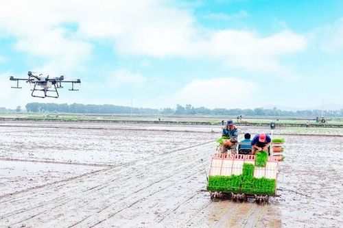 Hà Nam: Đẩy mạnh cơ giới hóa để phát triển nông nghiệp bền vững ở Thanh Liêm