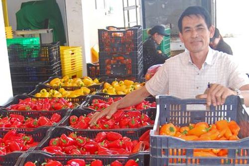 HTX tìm điểm tựa từ Luật HTX 2023