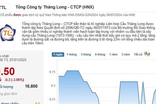 Sau 'game' thoái vốn, cổ phiếu TTL đỏ liên tục