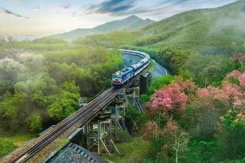 Hơn 7 triệu lượt hành khách đi tàu trong năm 2024