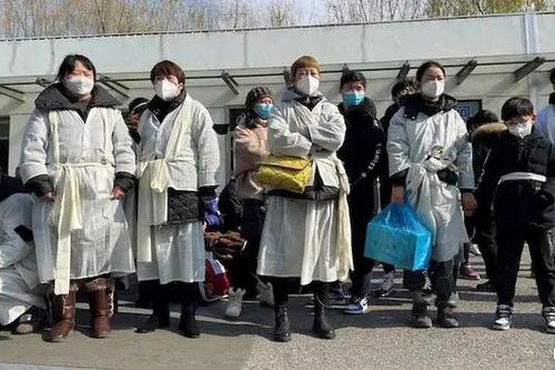 WHO làm rõ thắc mắc về dịch bệnh do virus HMPV
