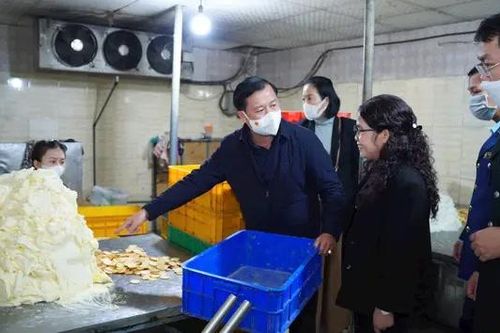 Tạm dừng hai cơ sở sản xuất thực phẩm ở Hoài Đức