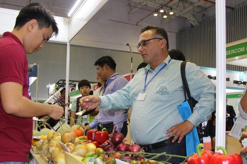 Năm 2024, xuất khẩu rau quả đạt hơn 7,2 tỷ USD