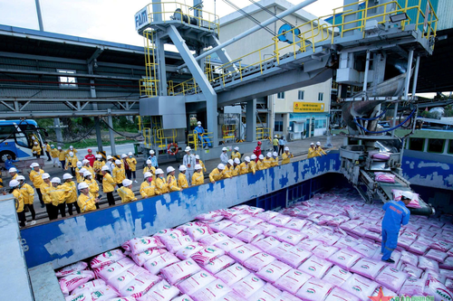 Áp thuế giá trị gia tăng 5% phân bón: Mang lại quyền lợi cho doanh nghiệp và người dân
