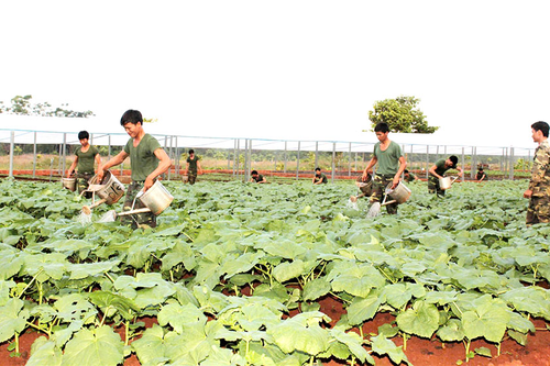 Thi đua xây dựng đơn vị xanh, sạch, đẹp
