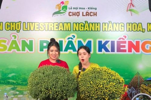 Bến Tre: Khai mạc Lễ hội hoa - kiểng Chợ Lách năm 2025