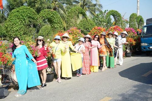 Tưng bừng lễ hội hoa - kiểng 'Sắc màu Chợ Lách'