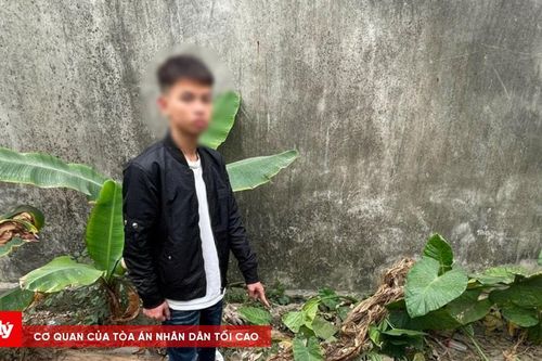 Khởi tố 11 thanh thiếu niên 'chặt biển' khoe chiến tích trên mạng xã hội