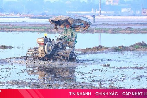 Đồng loạt mở nước hồ chứa phục vụ gieo cấy lúa xuân