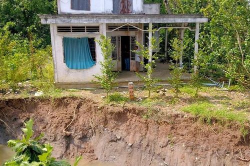 Cồn Thanh Long ở Vĩnh Long sạt lở nghiêm trọng, nhiều người dân lo mất Tết