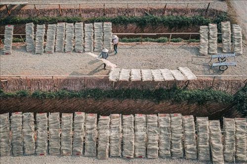 Đặc sản miến làng So trứ danh