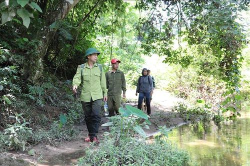 Bẫy ảnh giữa đại ngàn