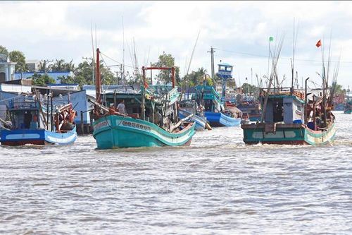 Nghiêm túc thực hiện xử lý vi phạm hành chính trong lĩnh vực thủy sản