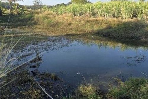 Phát hiện thi thể người đàn ông dưới ao nước