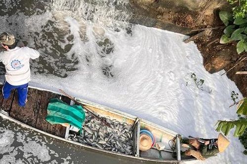 Nước thải đen ngòm 'bức tử' sông Cẩm Lệ, người dân bức xúc lên tiếng