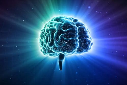 Có thể phục hồi ký ức từ não người đã mất