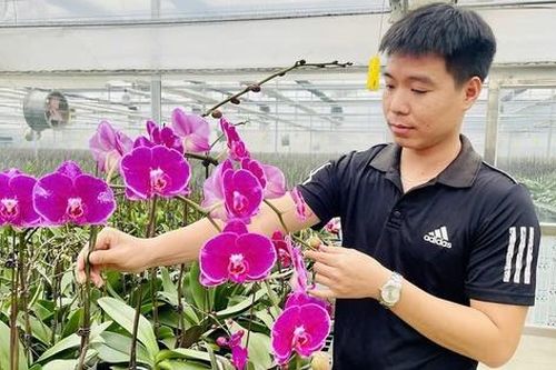 Làng hoa cây cảnh Văn Giang: Trăm đường lợi nhờ ứng dụng kỹ thuật số