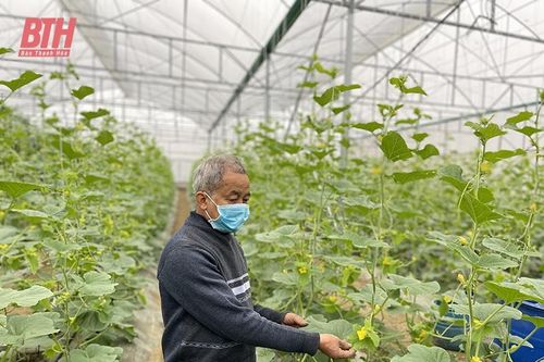 Phát triển nông nghiệp công nghệ cao - còn nhiều vướng mắc