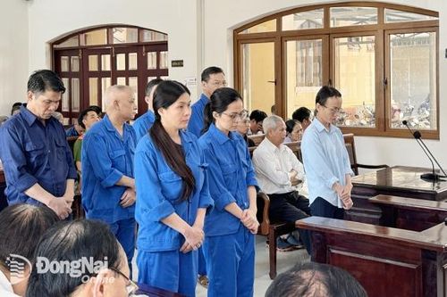 Sai phạm tại Trường đại học Đồng Nai: Các bị cáo mỗi người lãnh án từ 4-18 năm tù