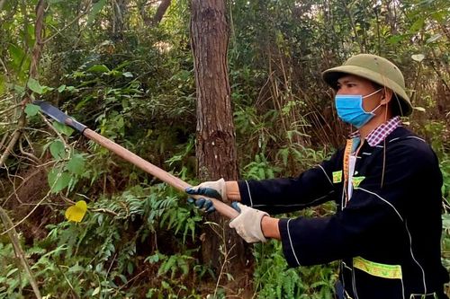 Bàn giao đất nông, lâm trường về địa phương: Đảm bảo hợp lý, đúng quy định