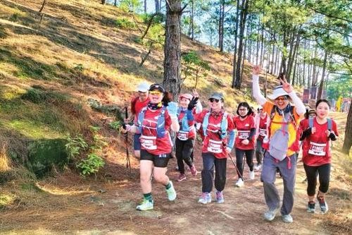Chuyển đổi số trong ngành Văn hóa, Thể thao và Du lịch: Nâng cao hiệu quả quản lý và trải nghiệm người dùng