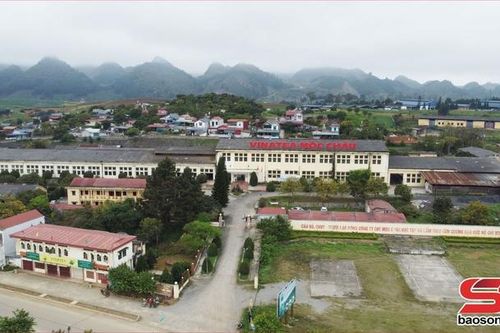 Vinatea Mộc Châu làm nên thương hiệu chè Mộc Châu