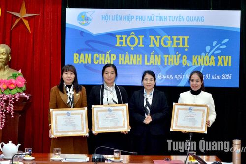 Hội LHPN tỉnh triển khai nhiệm vụ năm 2025