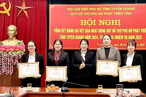 31 tập thể, cá nhân được khen thưởng trong thực hiện nhiệm vụ Quỹ hỗ trợ phụ nữ phát triển tỉnh