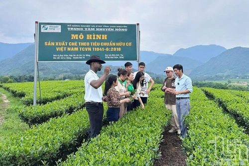 Nông nghiệp xanh và du lịch cộng đồng 'cùng đi'