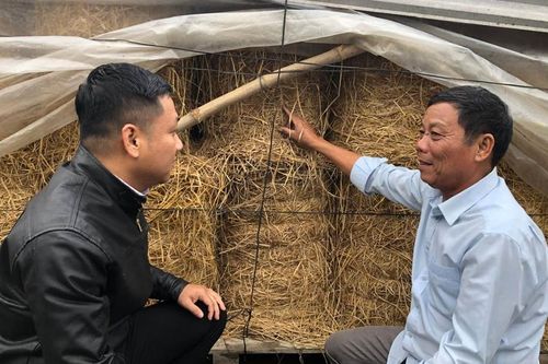 Còn sức, còn lao động