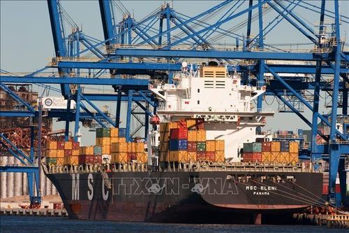 CIPS: Người tiêu dùng có thể đối mặt với mức giá tăng 20% trong năm 2025