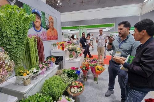 Cơ hội phát triển thị trường rau, hoa, quả