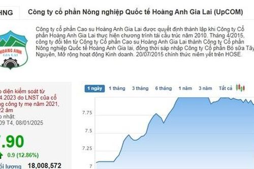 Bộ đôi HAG – HNG được 'săn đón'