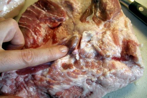 Ăn phải hạch trong thịt lợn có sao không?