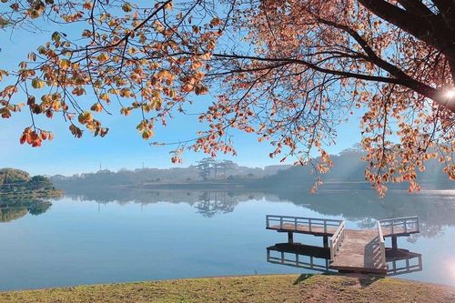 Kinh nghiệm khám phá hồ Xuân Hương ở Đà Lạt