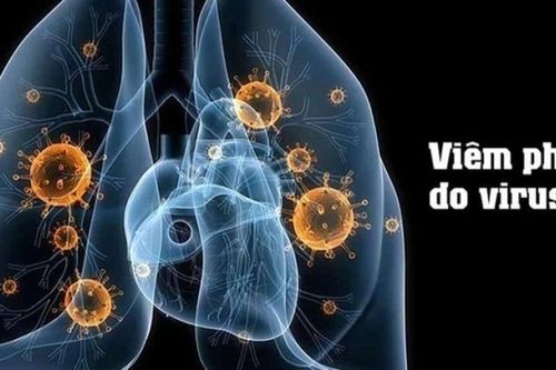 Bộ Y tế cập nhật thông tin về dịch bệnh do virus gây viêm phổi tại Trung Quốc