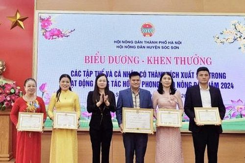 Hội Nông dân huyện Sóc Sơn: 35 tập thể, cá nhân được khen thưởng