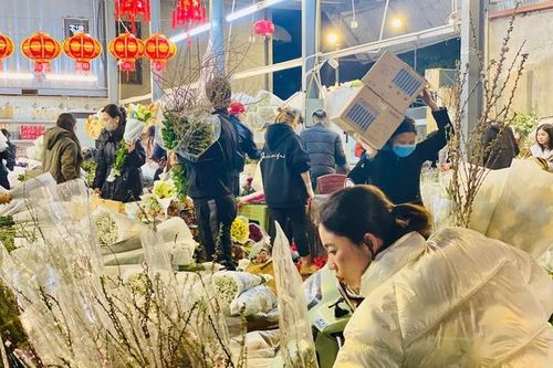 Đào truyền thống đang phải 'bon chen' với những loại đào nào đang rất 'hot' trên thị trường phục vụ người dân chơi Tết 2025
