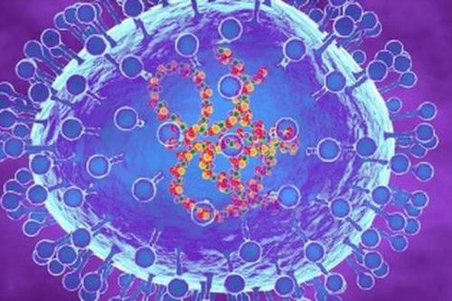 Nỗi sợ thái quá về virus hMPV đang lây lan ở Trung Quốc – 'ám ảnh' sau đại dịch COVID-19