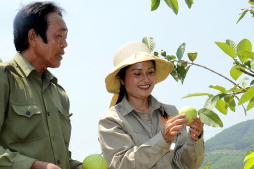 Quảng Ninh: Tạo động lực thúc đẩy phát triển kinh tế - xã hội các xã vùng khó