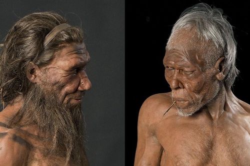 Vì sao Homo sapiens sống sót, còn Neanderthal thì tuyệt chủng?
