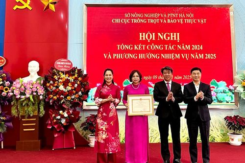 Chi cục Trồng trọt và BVTV Hà Nội được nhận Bằng khen của Bộ NN&PTNT