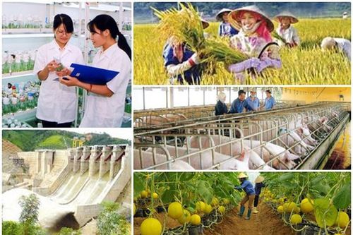 Sử dụng trí tuệ nhân tạo để giải đáp thắc mắc về Tổng điều tra nông thôn, nông nghiệp năm 2025