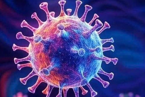 Bộ Y tế thông tin về tình hình virus gây viêm phổi (hMPV)